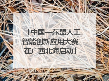 中国—东盟人工智能创新应用大赛在广西北海启动