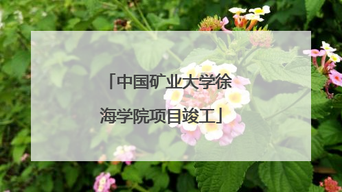 中国矿业大学徐海学院项目竣工