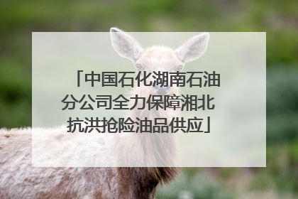 中国石化湖南石油分公司全力保障湘北抗洪抢险油品供应