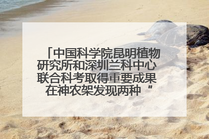 中国科学院昆明植物研究所和深圳兰科中心联合科考取得重要成果 在神农架发现两种“国保”级兰花