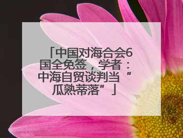 中国对海合会6国全免签，学者：中海自贸谈判当“瓜熟蒂落”