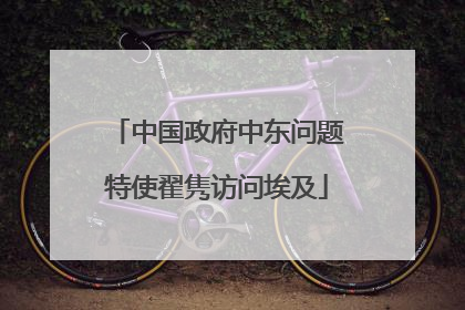 中国政府中东问题特使翟隽访问埃及