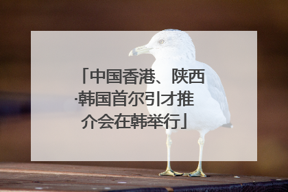 中国香港、陕西·韩国首尔引才推介会在韩举行