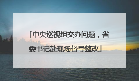 中央巡视组交办问题，省委书记赴现场督导整改