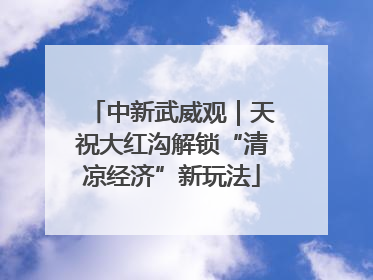 中新武威观｜天祝大红沟解锁“清凉经济”新玩法