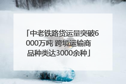 中老铁路货运量突破6000万吨 跨境运输商品种类达3000余种