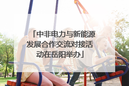 中非电力与新能源发展合作交流对接活动在岳阳举办