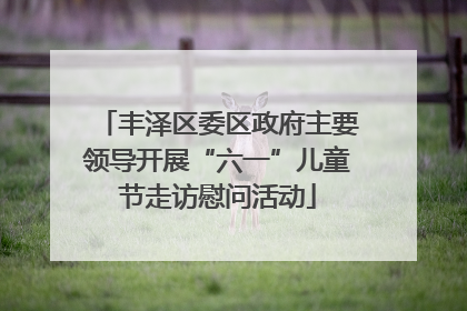 丰泽区委区政府主要领导开展“六一”儿童节走访慰问活动