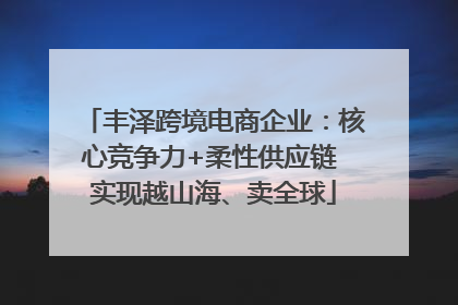 丰泽跨境电商企业：核心竞争力+柔性供应链 实现越山海、卖全球