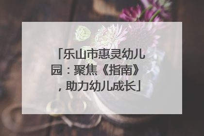 乐山市惠灵幼儿园：聚焦《指南》，助力幼儿成长