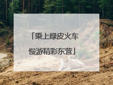 乘上绿皮火车 慢游精彩东营