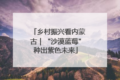 乡村振兴看内蒙古｜“沙漠蓝莓”种出紫色未来