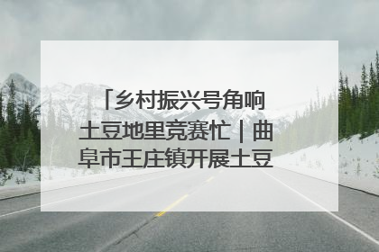 乡村振兴号角响 土豆地里竞赛忙｜曲阜市王庄镇开展土豆收获劳动竞赛