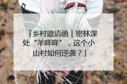 乡村邀请函｜密林深处“羊咩咩”，这个小山村如何逆袭？
