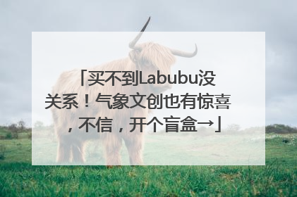 买不到Labubu没关系！气象文创也有惊喜，不信，开个盲盒→