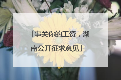 事关你的工资，湖南公开征求意见