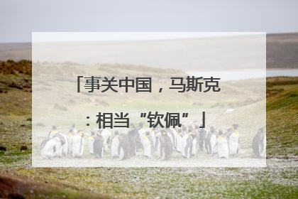 事关中国，马斯克：相当“钦佩”