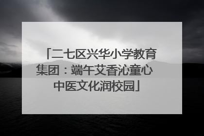 二七区兴华小学教育集团：端午艾香沁童心 中医文化润校园