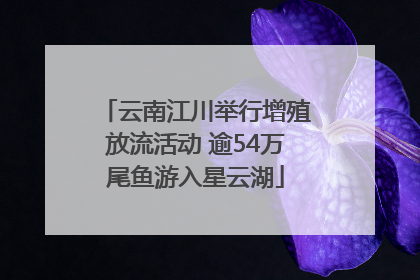 云南江川举行增殖放流活动 逾54万尾鱼游入星云湖