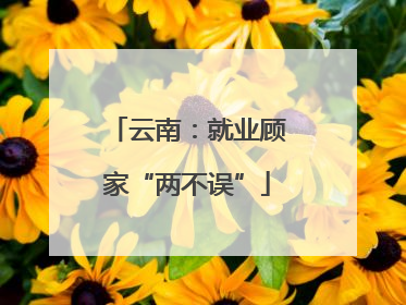 云南：就业顾家“两不误”