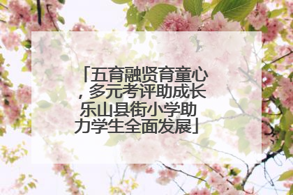 五育融贤育童心，多元考评助成长 乐山县街小学助力学生全面发展
