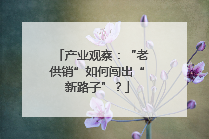 产业观察：“老供销”如何闯出“新路子”？