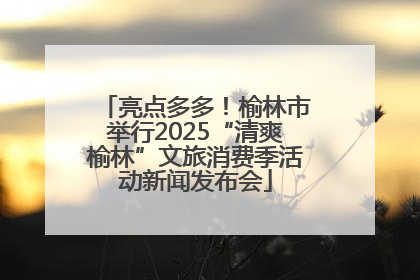 亮点多多！榆林市举行2025“清爽榆林”文旅消费季活动新闻发布会