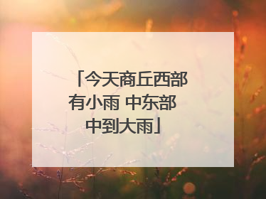 今天商丘西部有小雨 中东部中到大雨