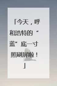 今天，呼和浩特的“蓝”底一寸照刷屏啦！