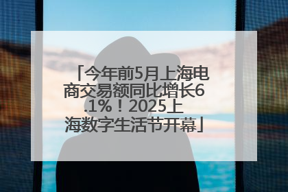 今年前5月上海电商交易额同比增长6.1%！2025上海数字生活节开幕