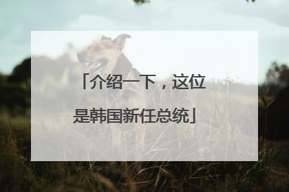 介绍一下，这位是韩国新任总统