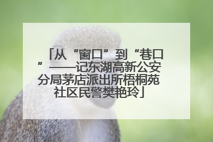 从“窗口”到“巷口”——记东湖高新公安分局茅店派出所梧桐苑社区民警樊艳玲
