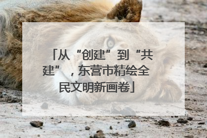 从“创建”到“共建”，东营市精绘全民文明新画卷