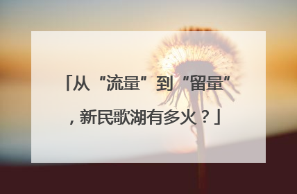从“流量”到“留量”，新民歌湖有多火？
