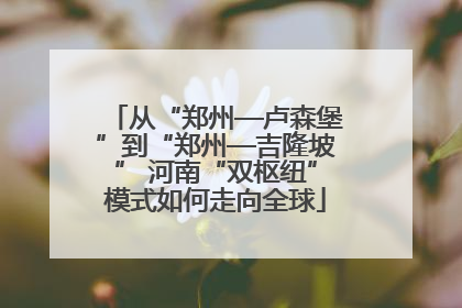 从“郑州—卢森堡”到“郑州—吉隆坡” 河南“双枢纽”模式如何走向全球