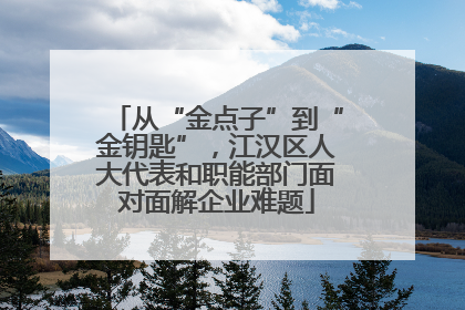 从“金点子”到“金钥匙”，江汉区人大代表和职能部门面对面解企业难题