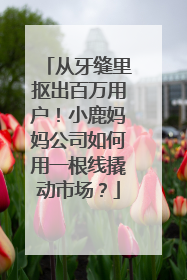 从牙缝里抠出百万用户！小鹿妈妈公司如何用一根线撬动市场？