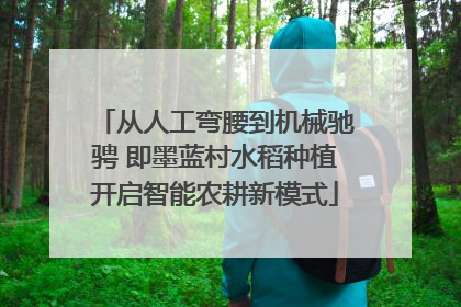 从人工弯腰到机械驰骋 即墨蓝村水稻种植开启智能农耕新模式