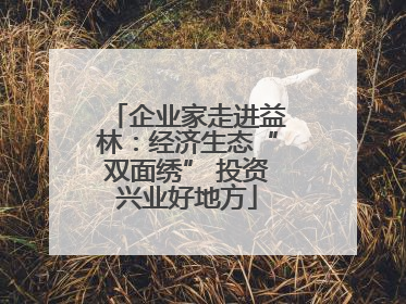 企业家走进益林：经济生态“双面绣” 投资兴业好地方