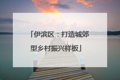 伊滨区：打造城郊型乡村振兴样板