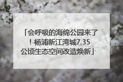 会呼吸的海绵公园来了！杨浦新江湾城7.35公顷生态空间改造焕新