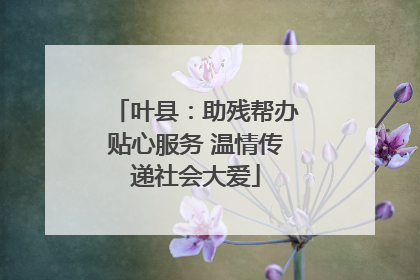 叶县：助残帮办贴心服务 温情传递社会大爱