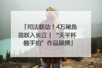 司法联动！4万尾鱼苗跃入长江｜“天平杯·随手拍”作品展播