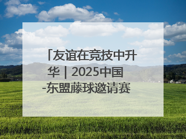 友谊在竞技中升华｜2025中国-东盟藤球邀请赛开赛 贵州惠水燃动“空中芭蕾”