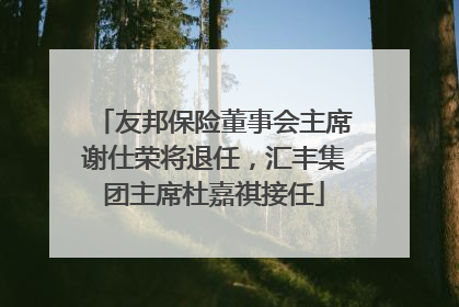 友邦保险董事会主席谢仕荣将退任，汇丰集团主席杜嘉祺接任