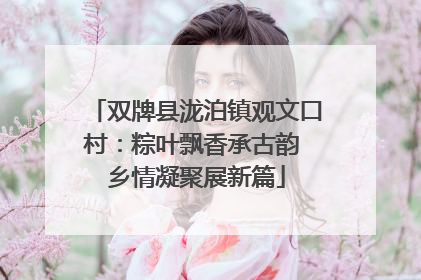 双牌县泷泊镇观文口村：粽叶飘香承古韵 乡情凝聚展新篇