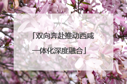 双向奔赴推动西咸一体化深度融合
