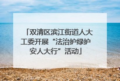 双清区滨江街道人大工委开展“法治护绿护安人大行”活动