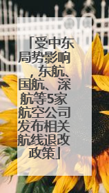 受中东局势影响，东航、国航、深航等5家航空公司发布相关航线退改政策