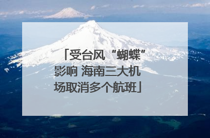 受台风“蝴蝶”影响 海南三大机场取消多个航班